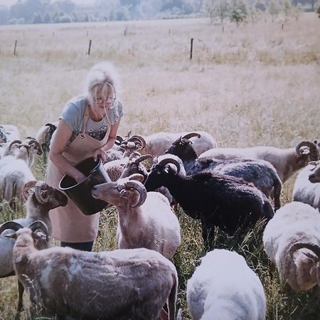 Pipowagen Elsebein Groningen Westerwolde Unieke Ligging Met Eigen Tuin En Vrij Uitzicht Over Veld Naar Natuurgebied Onstwedde 외부 사진