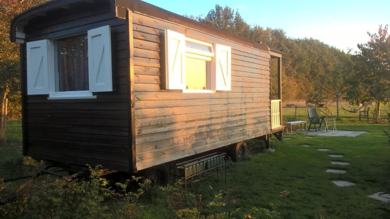 Pipowagen Elsebein Groningen Westerwolde Unieke Ligging Met Eigen Tuin En Vrij Uitzicht Over Veld Naar Natuurgebied Onstwedde 외부 사진