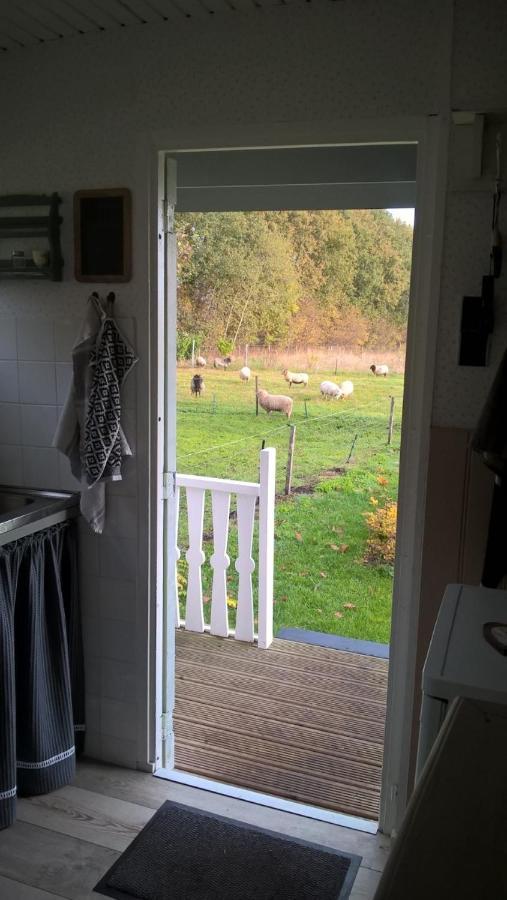 Pipowagen Elsebein Groningen Westerwolde Unieke Ligging Met Eigen Tuin En Vrij Uitzicht Over Veld Naar Natuurgebied Onstwedde 외부 사진