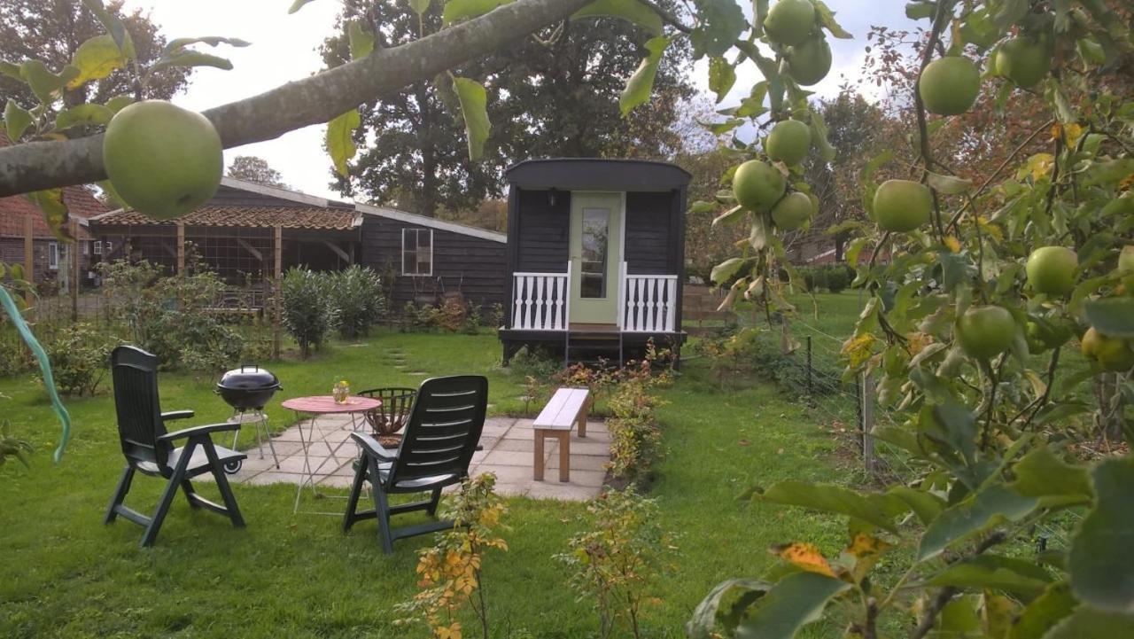 Pipowagen Elsebein Groningen Westerwolde Unieke Ligging Met Eigen Tuin En Vrij Uitzicht Over Veld Naar Natuurgebied Onstwedde 외부 사진