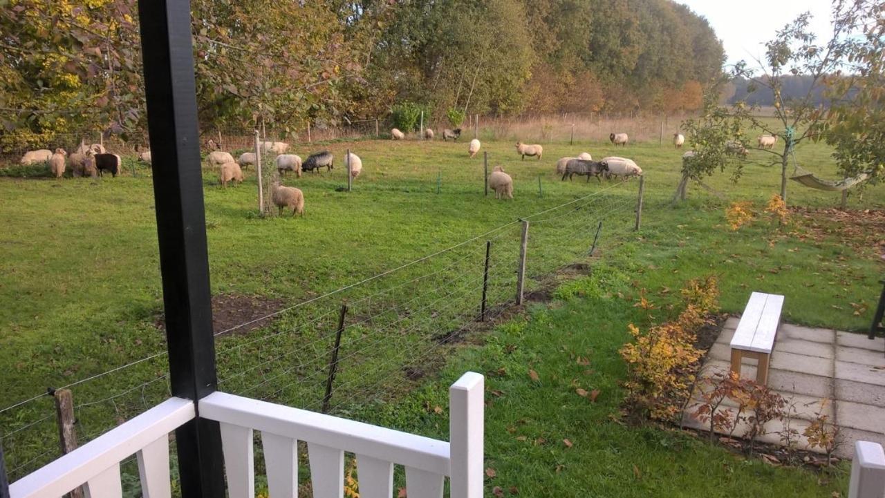 Pipowagen Elsebein Groningen Westerwolde Unieke Ligging Met Eigen Tuin En Vrij Uitzicht Over Veld Naar Natuurgebied Onstwedde 외부 사진