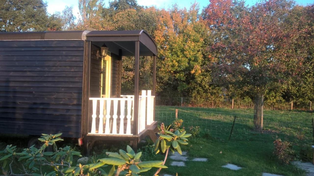Pipowagen Elsebein Groningen Westerwolde Unieke Ligging Met Eigen Tuin En Vrij Uitzicht Over Veld Naar Natuurgebied Onstwedde 외부 사진