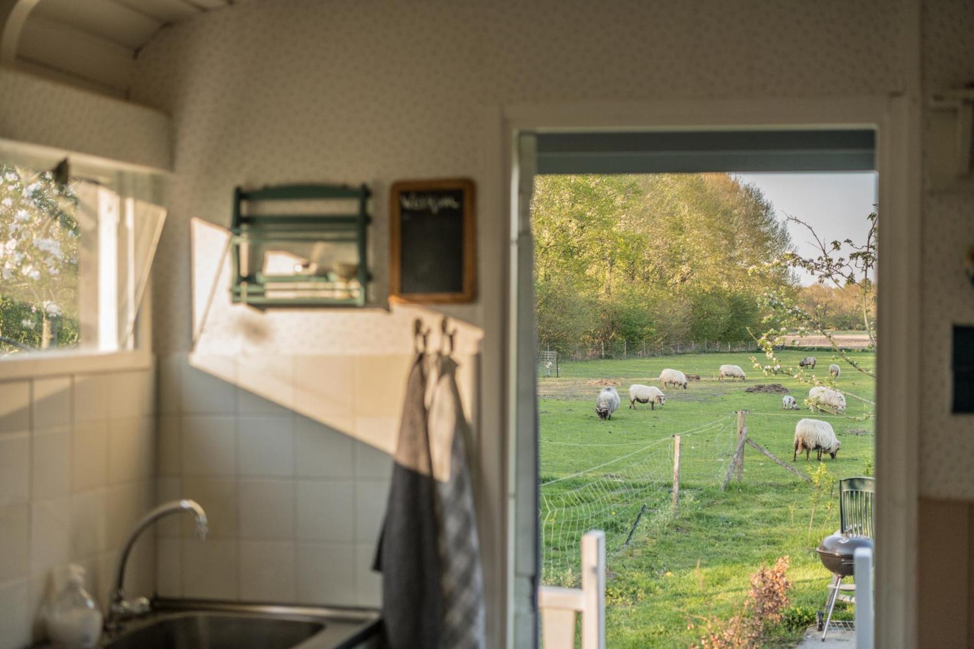 Pipowagen Elsebein Groningen Westerwolde Unieke Ligging Met Eigen Tuin En Vrij Uitzicht Over Veld Naar Natuurgebied Onstwedde 외부 사진
