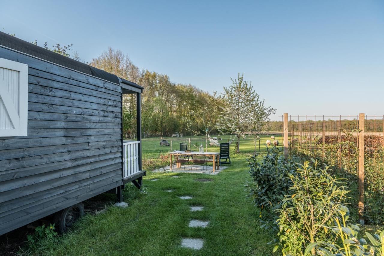 Pipowagen Elsebein Groningen Westerwolde Unieke Ligging Met Eigen Tuin En Vrij Uitzicht Over Veld Naar Natuurgebied Onstwedde 외부 사진