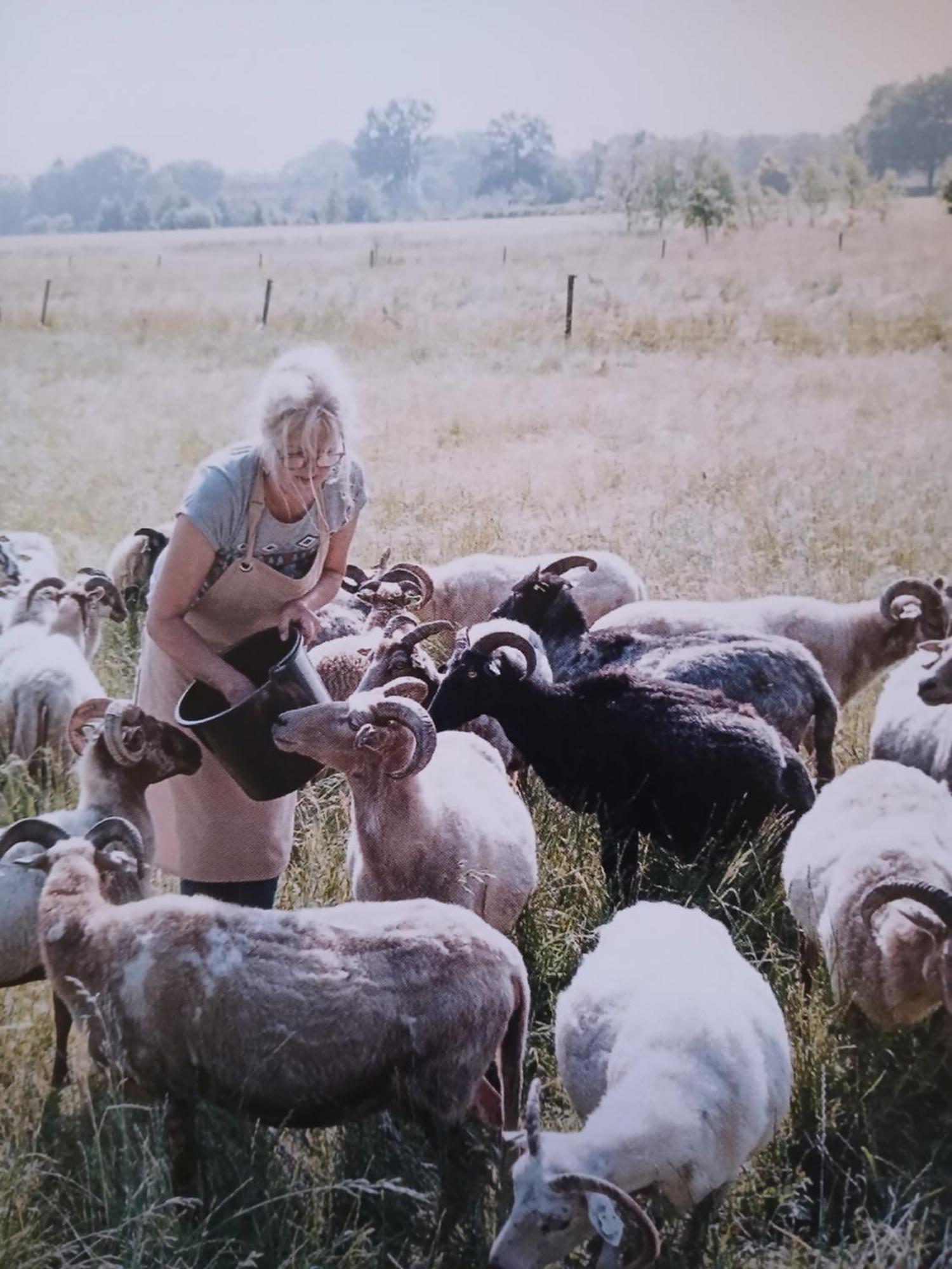 Pipowagen Elsebein Groningen Westerwolde Unieke Ligging Met Eigen Tuin En Vrij Uitzicht Over Veld Naar Natuurgebied Onstwedde 외부 사진